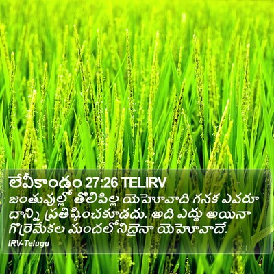 లేవీకాండం 27:26 TELIRV Bible Verse Image