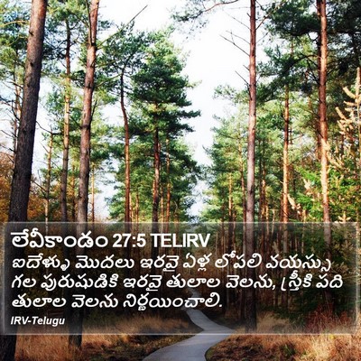 లేవీకాండం 27:5 TELIRV Bible Verse Image