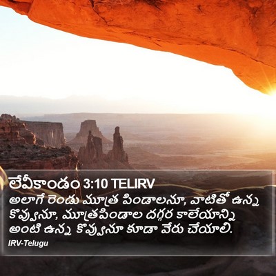 లేవీకాండం 3:10 TELIRV Bible Verse Image
