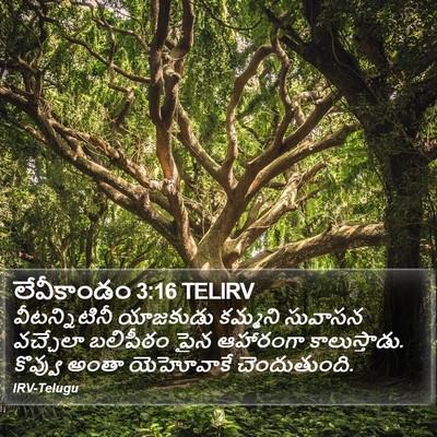 లేవీకాండం 3:16 TELIRV Bible Verse Image