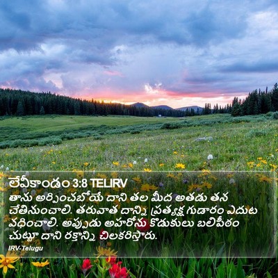 లేవీకాండం 3:8 TELIRV Bible Verse Image