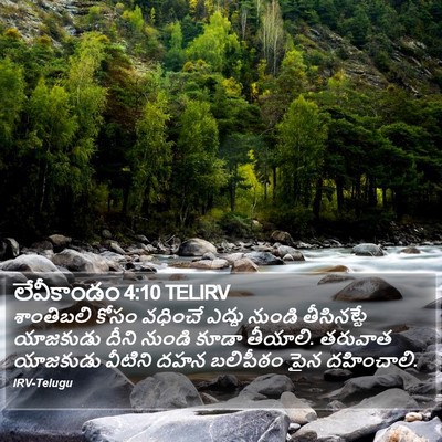 లేవీకాండం 4:10 TELIRV Bible Verse Image
