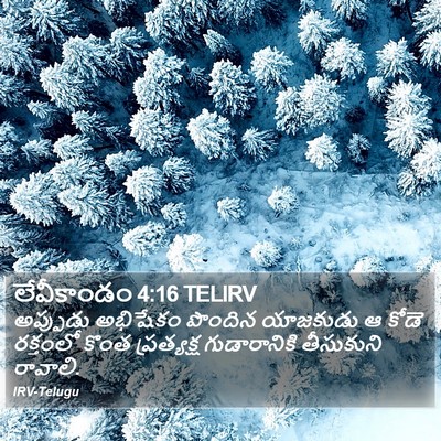 లేవీకాండం 4:16 TELIRV Bible Verse Image