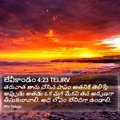 లేవీకాండం 4:23 TELIRV Bible Verse Image