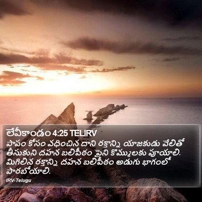 లేవీకాండం 4:25 TELIRV Bible Verse Image