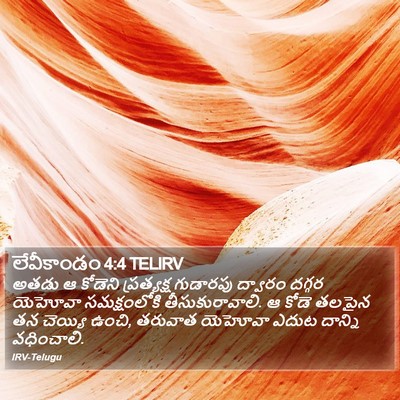 లేవీకాండం 4:4 TELIRV Bible Verse Image
