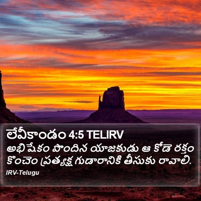 లేవీకాండం 4:5 TELIRV Bible Verse Image