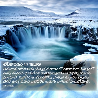 లేవీకాండం 4:7 TELIRV Bible Verse Image