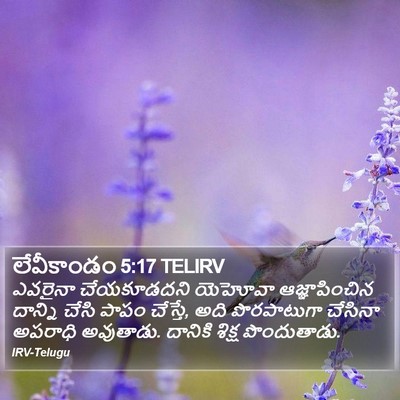 లేవీకాండం 5:17 TELIRV Bible Verse Image