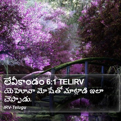 లేవీకాండం 6:1 TELIRV Bible Verse Image
