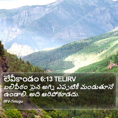 లేవీకాండం 6:13 TELIRV Bible Verse Image