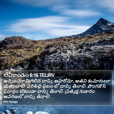 లేవీకాండం 6:16 TELIRV Bible Verse Image