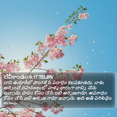 లేవీకాండం 6:17 TELIRV Bible Verse Image