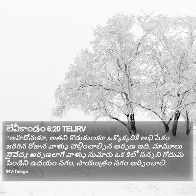 లేవీకాండం 6:20 TELIRV Bible Verse Image