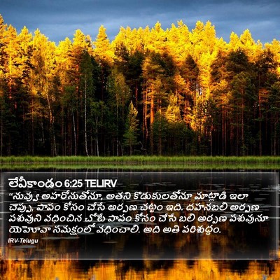 లేవీకాండం 6:25 TELIRV Bible Verse Image