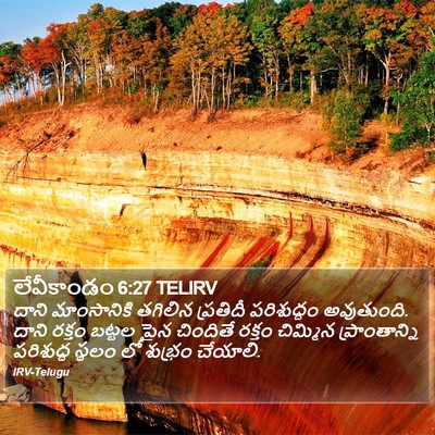 లేవీకాండం 6:27 TELIRV Bible Verse Image