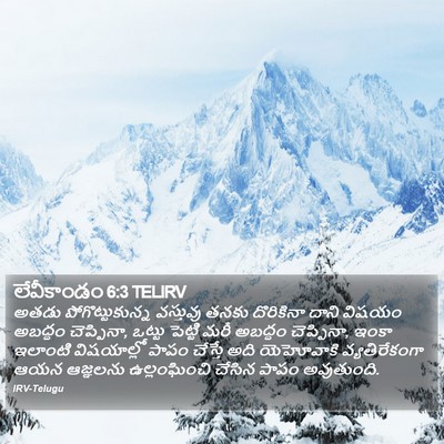 లేవీకాండం 6:3 TELIRV Bible Verse Image