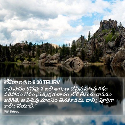 లేవీకాండం 6:30 TELIRV Bible Verse Image