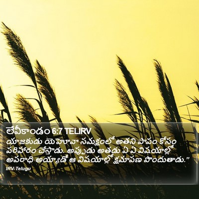 లేవీకాండం 6:7 TELIRV Bible Verse Image