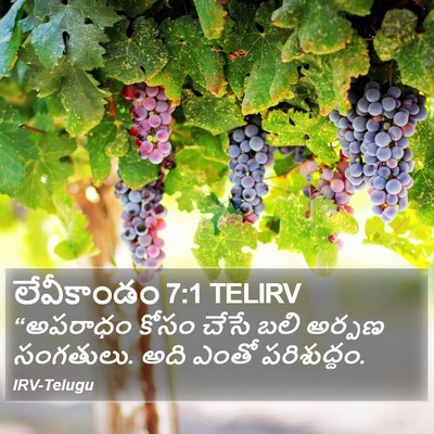 లేవీకాండం 7:1 TELIRV Bible Verse Image