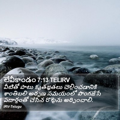 లేవీకాండం 7:13 TELIRV Bible Verse Image