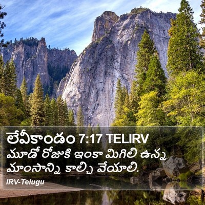 లేవీకాండం 7:17 TELIRV Bible Verse Image