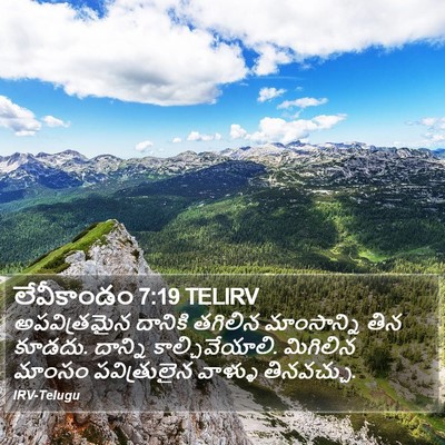 లేవీకాండం 7:19 TELIRV Bible Verse Image