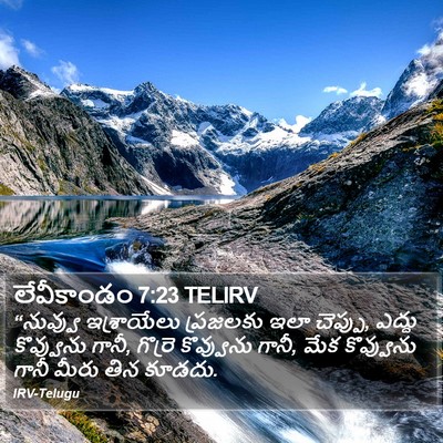 లేవీకాండం 7:23 TELIRV Bible Verse Image