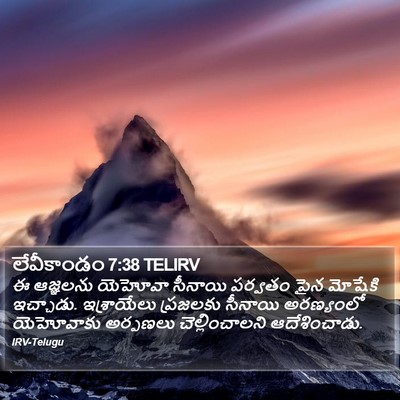 లేవీకాండం 7:38 TELIRV Bible Verse Image