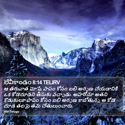 లేవీకాండం 8:14 TELIRV Bible Verse Image