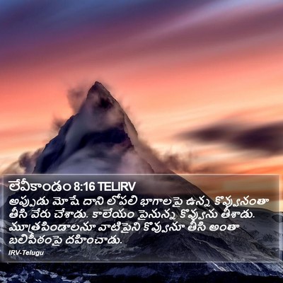 లేవీకాండం 8:16 TELIRV Bible Verse Image
