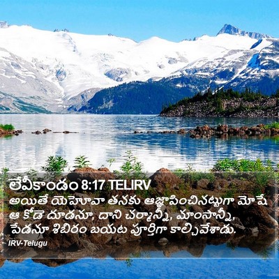 లేవీకాండం 8:17 TELIRV Bible Verse Image