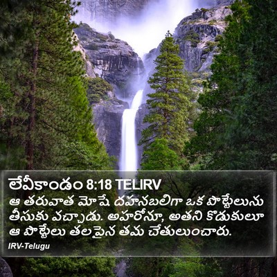 లేవీకాండం 8:18 TELIRV Bible Verse Image