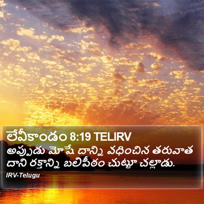 లేవీకాండం 8:19 TELIRV Bible Verse Image