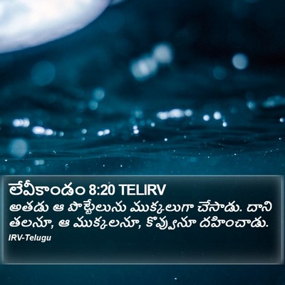 లేవీకాండం 8:20 TELIRV Bible Verse Image