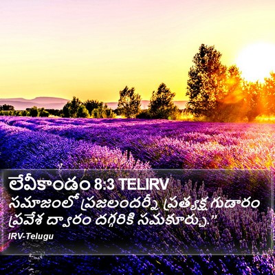 లేవీకాండం 8:3 TELIRV Bible Verse Image