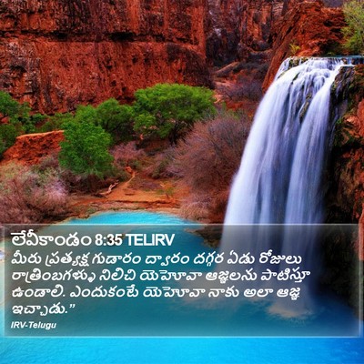 లేవీకాండం 8:35 TELIRV Bible Verse Image