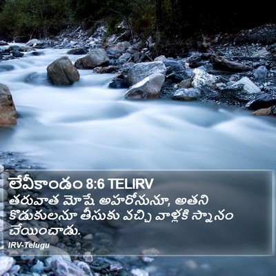 లేవీకాండం 8:6 TELIRV Bible Verse Image