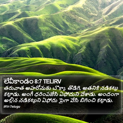 లేవీకాండం 8:7 TELIRV Bible Verse Image