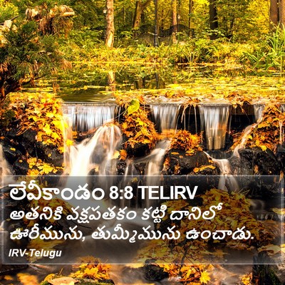 లేవీకాండం 8:8 TELIRV Bible Verse Image