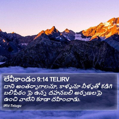 లేవీకాండం 9:14 TELIRV Bible Verse Image