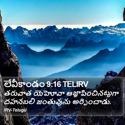 లేవీకాండం 9:16 TELIRV Bible Verse Image