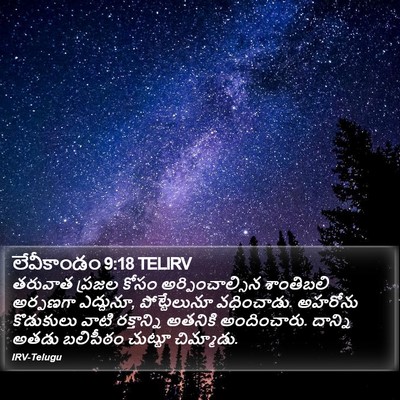 లేవీకాండం 9:18 TELIRV Bible Verse Image