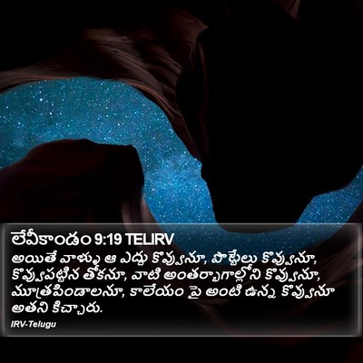 లేవీకాండం 9:19 TELIRV Bible Verse Image