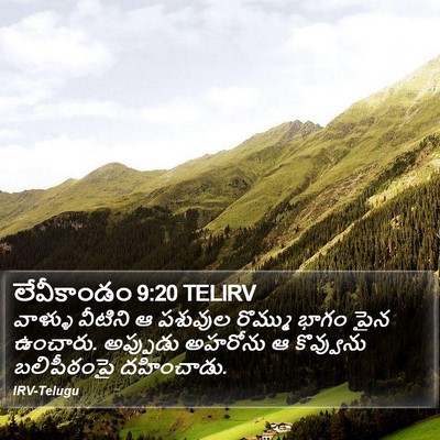 లేవీకాండం 9:20 TELIRV Bible Verse Image