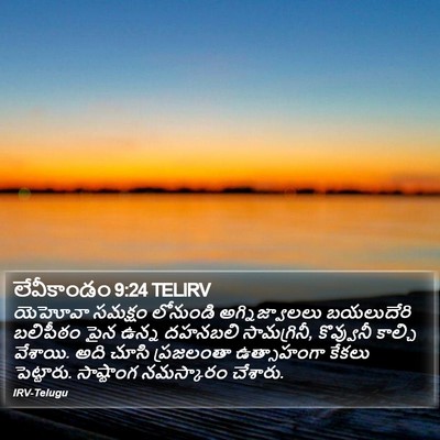 లేవీకాండం 9:24 TELIRV Bible Verse Image