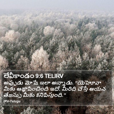 లేవీకాండం 9:6 TELIRV Bible Verse Image