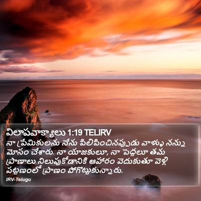 విలాపవాక్యాలు 1:19 TELIRV Bible Verse Image