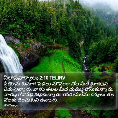 విలాపవాక్యాలు 2:10 TELIRV Bible Verse Image