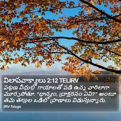 విలాపవాక్యాలు 2:12 TELIRV Bible Verse Image